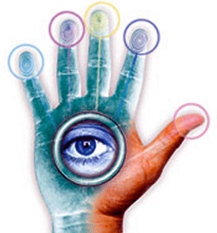 Ley Federal de Acceso a la Información Pública y Protección de Datos Personales