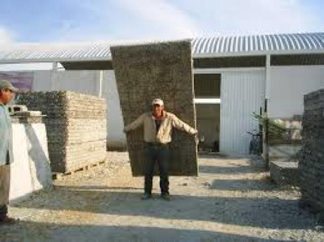 •	2001 PANEL ECOLOGICO