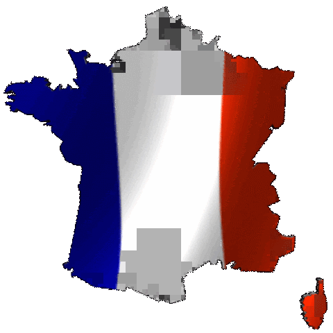 Ley de Informática, Ficheros y Libertades