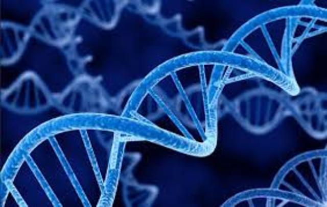 TESTS OF DNA AND HUMAN GENES