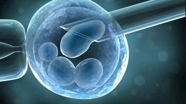 CELLS THAT TREAT PATIENTS WITH DIABETES