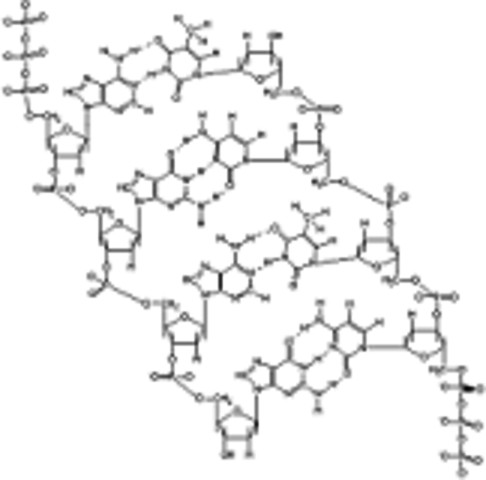Estructura del ADN (Watson y Crik)