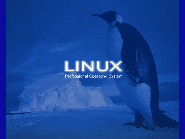 Linus Torvalds lasi välja 1.0 Linux tuuma