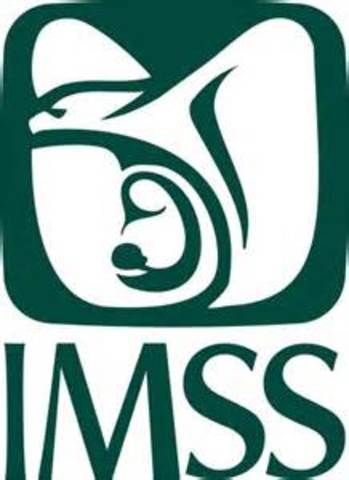 IMSS. Instituto Mexicano del Seguro Social.
