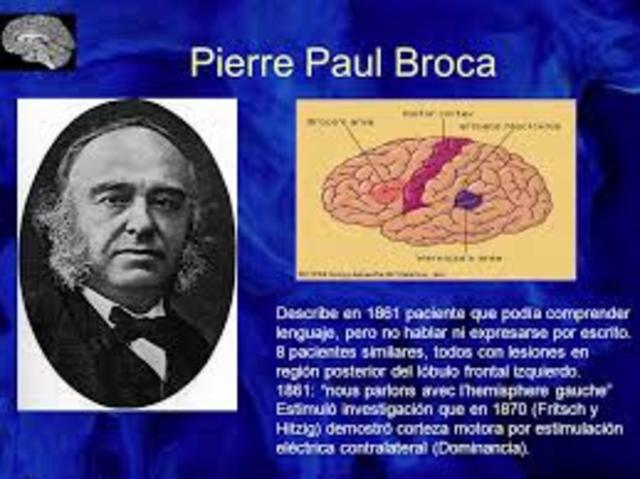 Regiones del cerebro asociadas al habla
