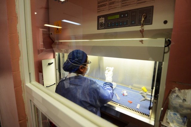 Empresa que vendió falsas quimios facturó 109 mdp entre 2006 y 2013