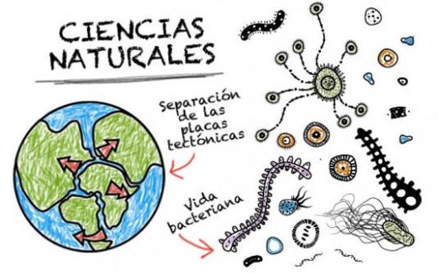 las estadísticas sanitarias y las ciencias naturales