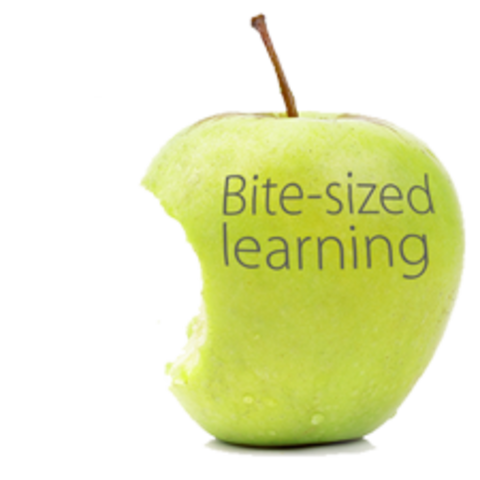 BITE-SIZED LEARNING 4/5