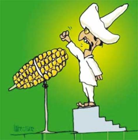 se inicio el Programa de Inversiones Públicas para el Desarrollo Rural (PIDER);