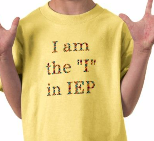 1975 Individual Education Program