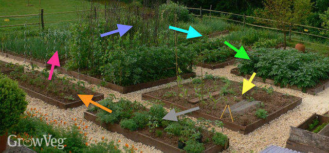 Crop Rotation