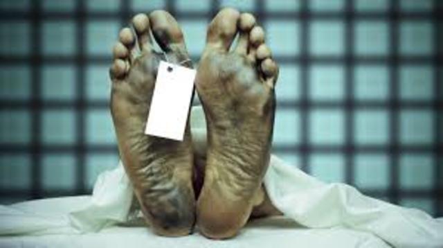 Selmi descubrió las ptomaínas