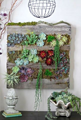 Living Wall Planter