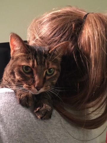 My cat angel dies :(