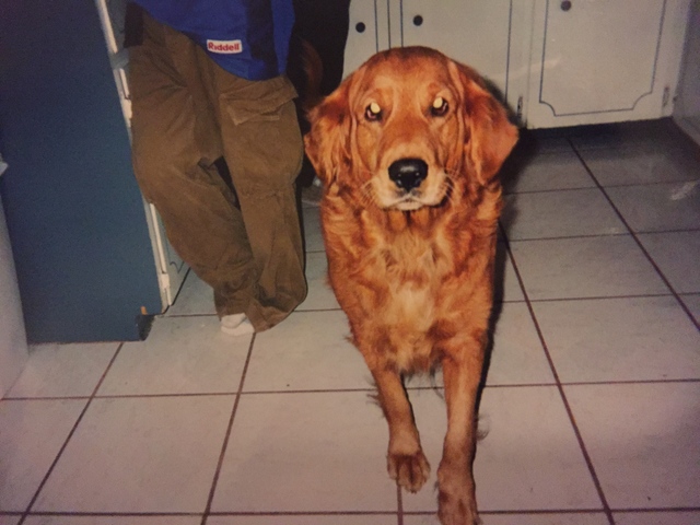 My dog Gipper dies :(