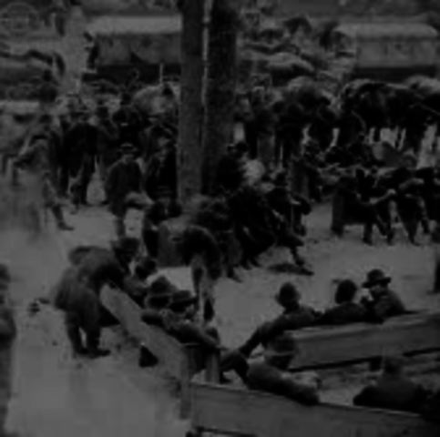 August - November - Meade In Virginia