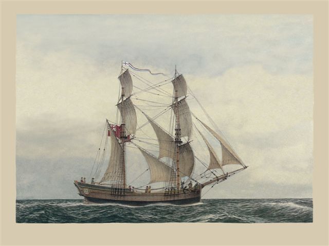 First fleet arrives in Australia