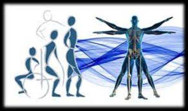 y hasta entrando el Siglo XX