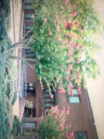 Cuando yo empecé escuela a Cross Creek