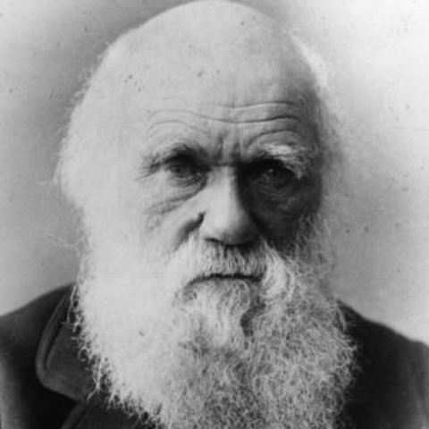 Charles Darwin's Theory of Evolution