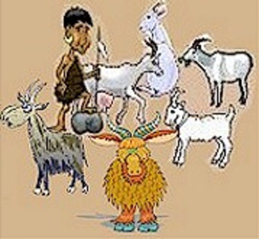 Contar piedras (10.000 años a. C.)