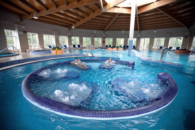 PROMOCIÓN DE LA FISIOTERAPIA (1830 HASTA EL SIGLO XX )