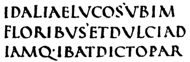 Escritura rustica.