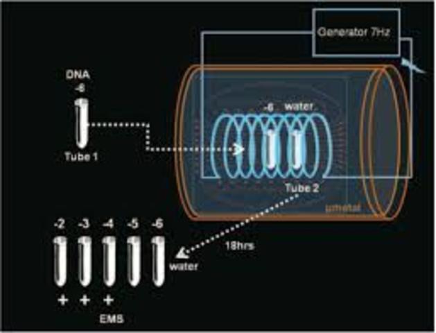 Los experimentos en Conectividad