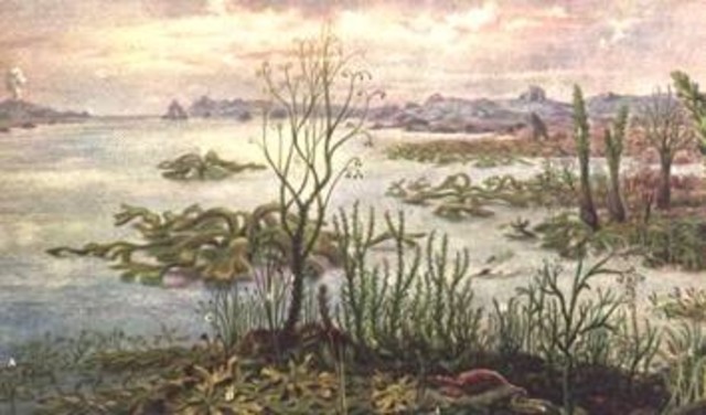 PALEOZOICA-silúrico hace 430 millones de años