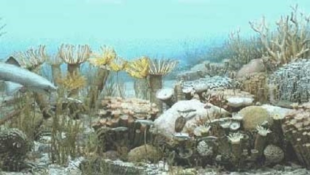 PALEOZOICA-Devónico hace 410 millones de años