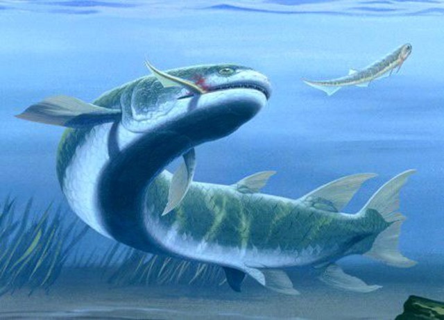 PALEOZOICA-Carbonífero hace 350 millones