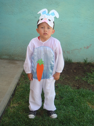 Nace mi segundo hijo