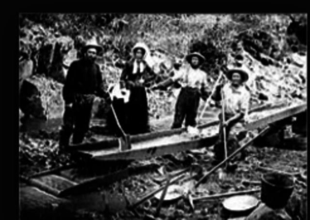 The California Gold Rush