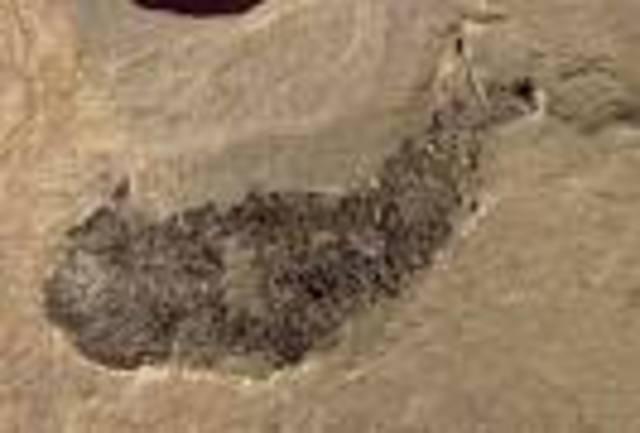 Punta Alta, Argentina