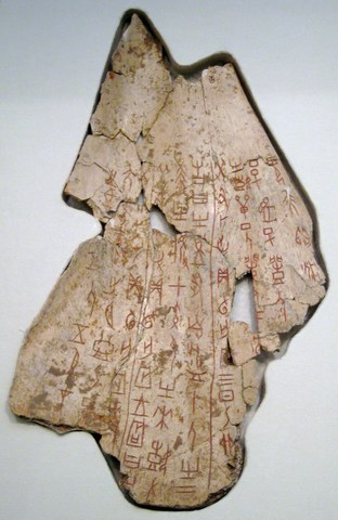 oracle bones