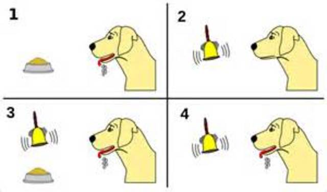 Classical Conditioning
