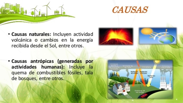 causas