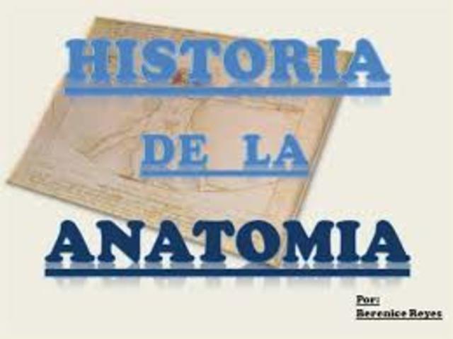 historia de anatomia