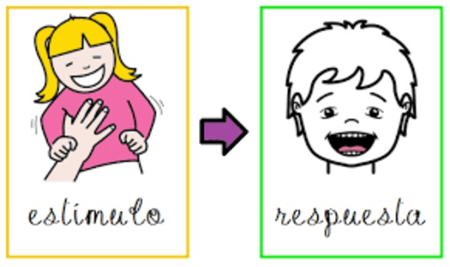 Teorías conductistas (Estímulo-respuesta a través de los sentidos)