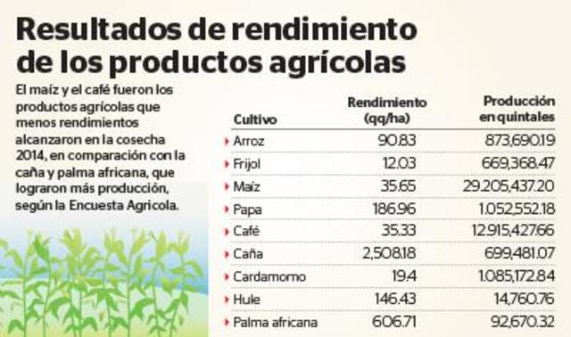 RESULTADOS DE RENDIMIENTOS AGRICOLAS