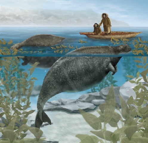 Steller's Sea Cow
