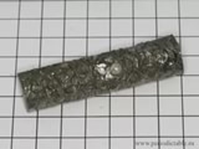 Открытие актиния