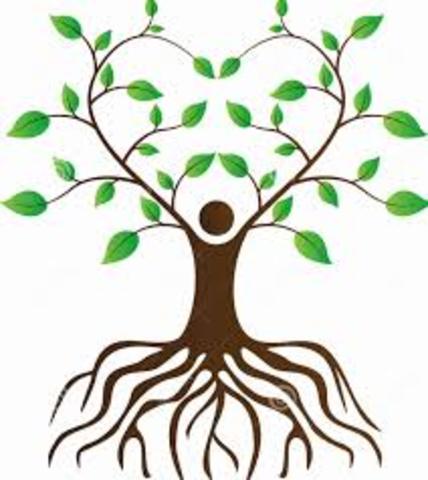 GUÍA AMBIENTAL COLOMBIANA