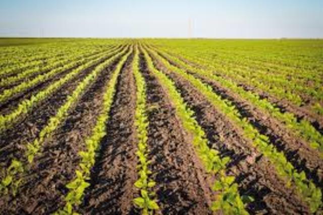 Ley del Seguro Agrícola y Ganadero