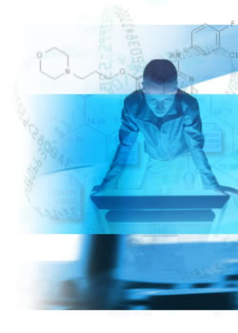 Utilización Del Software