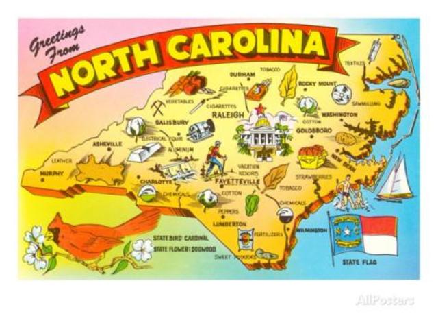 20 Abril 2009, Quinto