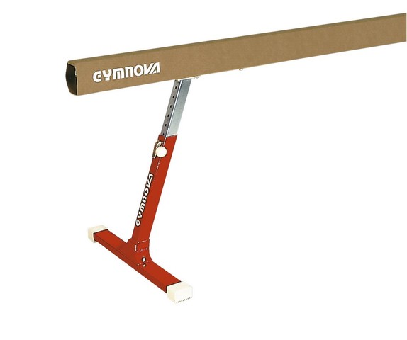 My first gymnastics class...