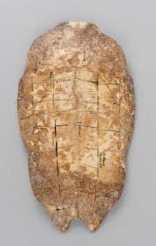 Shang Dynasty Developed Writing