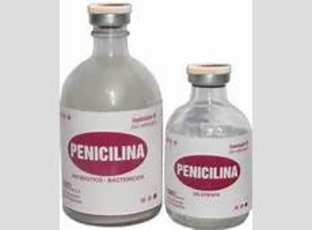 Penicilina