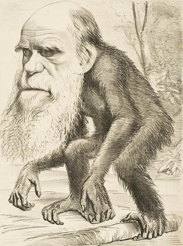 A origem das Espécies - Charles Darwin